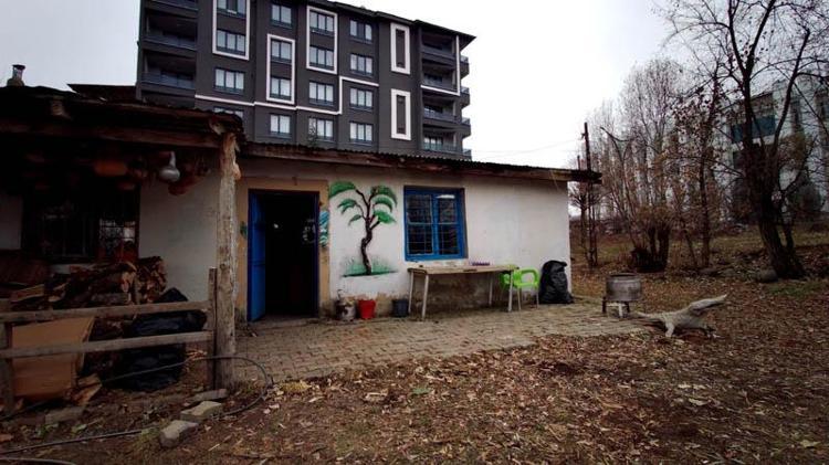 HAYATIN HER ALANINDA AHŞABA İHTİYAÇ VARDIR