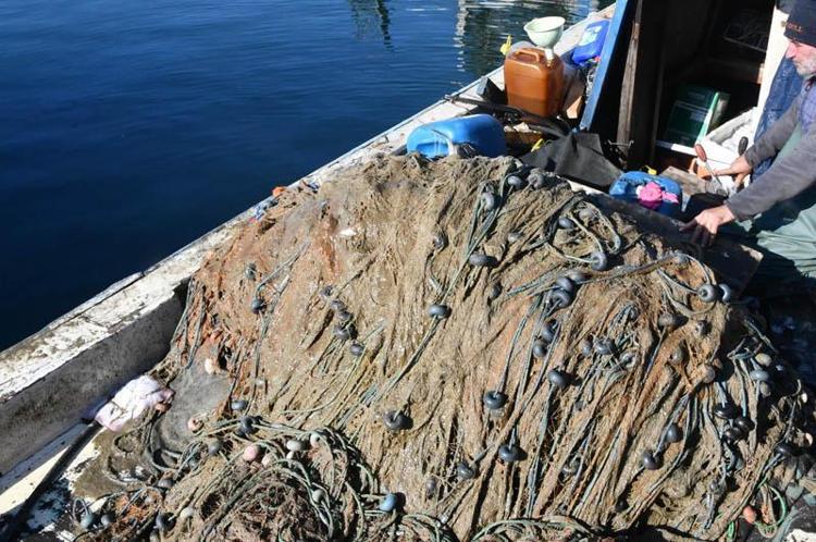 MARMARA DENİZİ BİTMİŞ DURUMDA