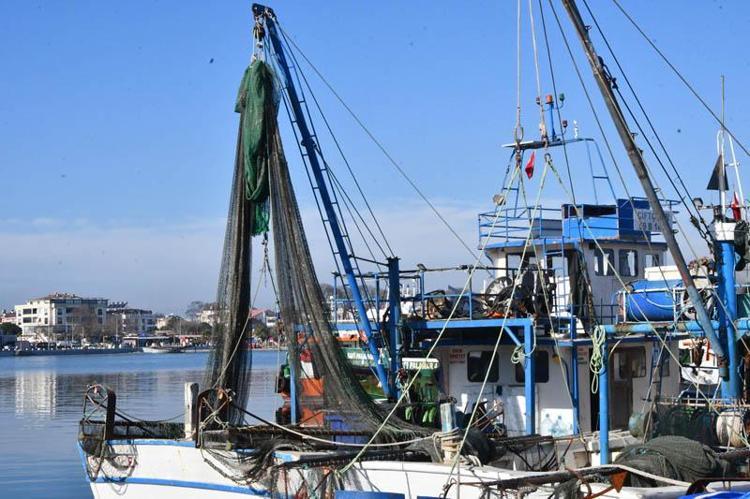 MÜSİLAJ BİR KADER DEĞİL, SONUÇ