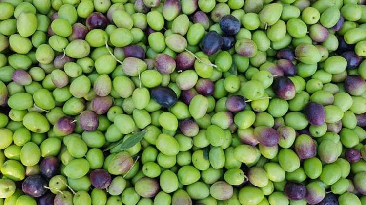 6 KİLODA 1 KİLO YAĞ