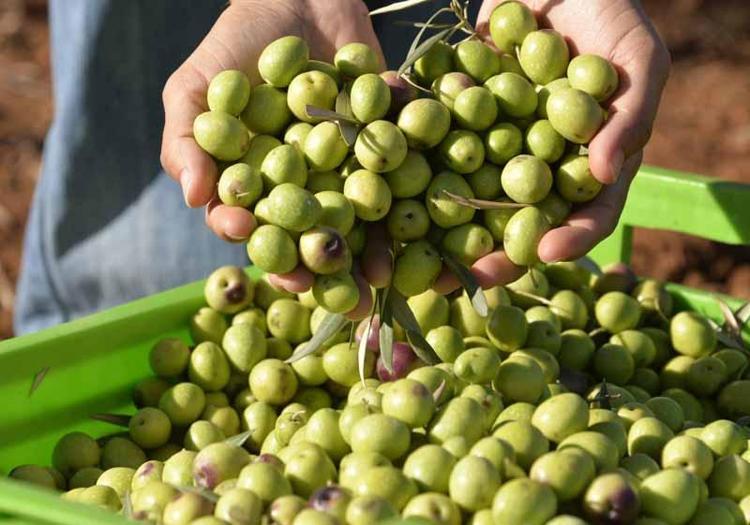 EN YÜKSEK VE DÜŞÜK VERİM