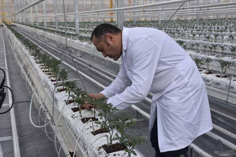 36 DERECELİK JEOTERMAL SUYLA ÇALIŞIYOR