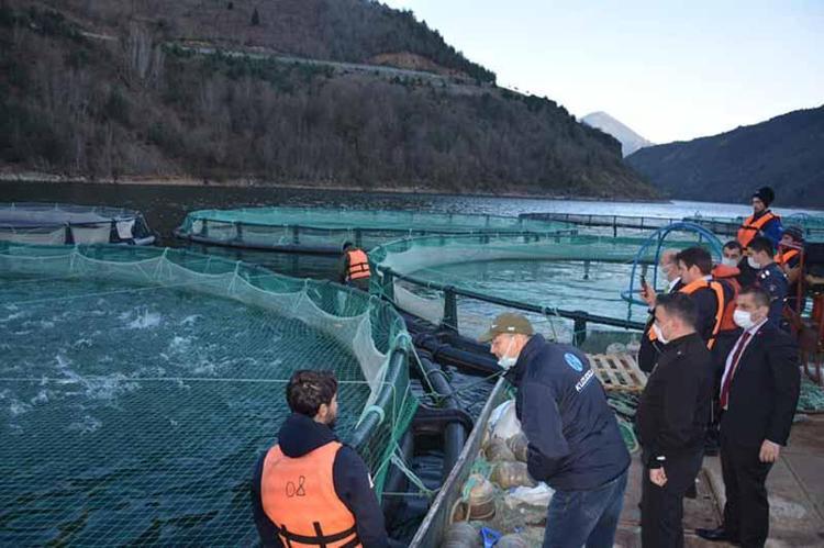 HEDEF 60 BİN TON BALIK ÜRETİMİ