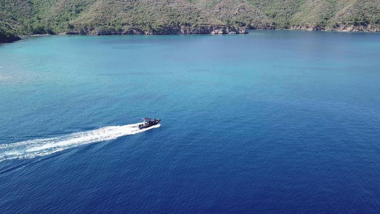 BONCUK KOYU, ÖNEMLİ KÖPEK BALIĞI ALANI SEÇİLDİ