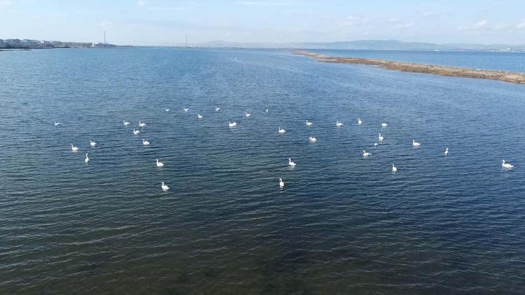 EN YÜKSEK KUŞ SAYISINA KAVAK DELTASINDA ULAŞTIK