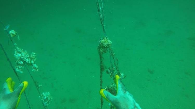 9 SENEDE 50 BİN METREKARE HAYALET AĞ ÇIKARILDI