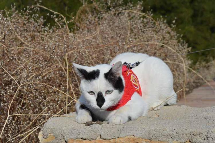 ‘ÜZERİMİZDE HALA BURUK BİR HİS VAR’