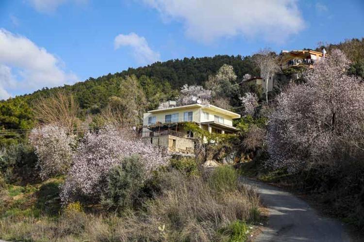 DON OLURSA MEYVE OLMAZ