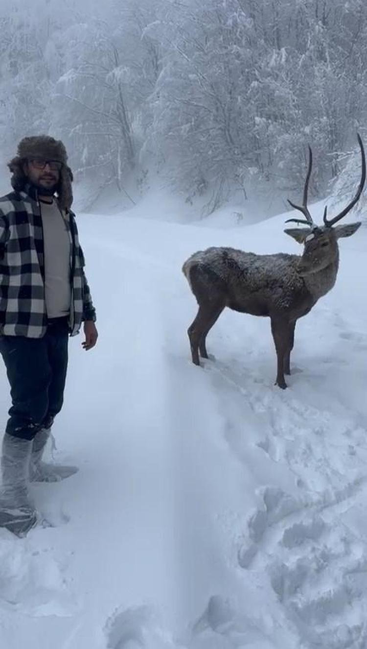 KIZILGEYİĞİ ELİYLE BESLEDİ