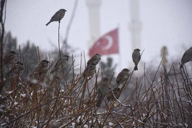 OKULLAR YARIN DA TATİL