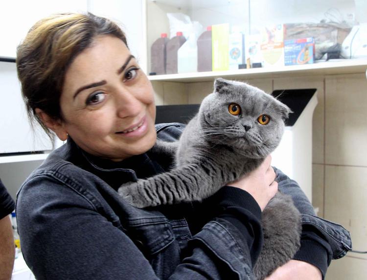 KEDİM AMELİYAT EDİLDİ, SAĞLIĞINA KAVUŞTU