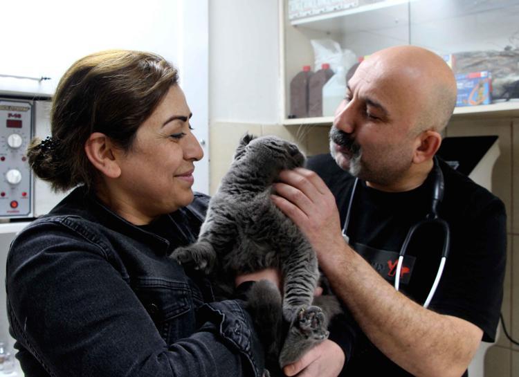 ‘ÇİFT CİNSİYETLİ BİR KEDİ OLDUĞUNU ANLADIK’