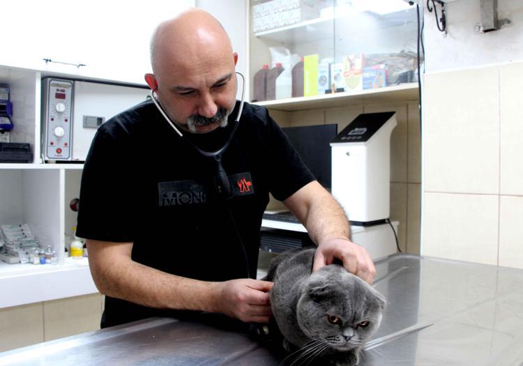 ‘ARTIK HERHANGİ BİR ÇİFTLEŞME BELİRTİSİ GÖSTERMEYECEK’