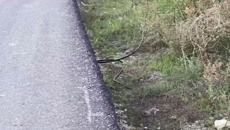 ÖNLEM ALMAYAN KİŞİ VEYA KİŞİLER KUSURLU