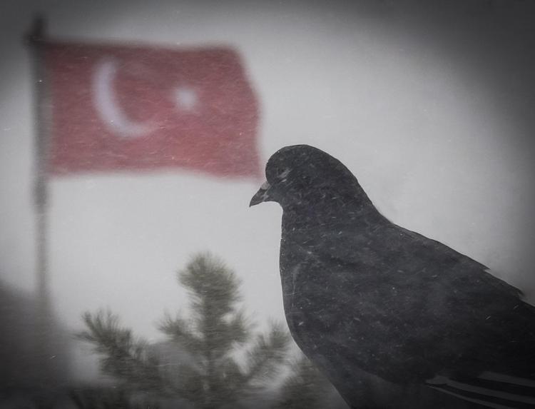 HAYVANLARIN DOĞADA AÇ KALMAMASI İÇİN ÇALIŞMA YAPTILAR