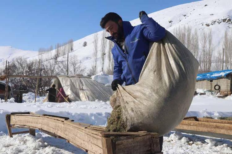 EKSİ 20-23 DERECELERİ GÖRÜYORUZ