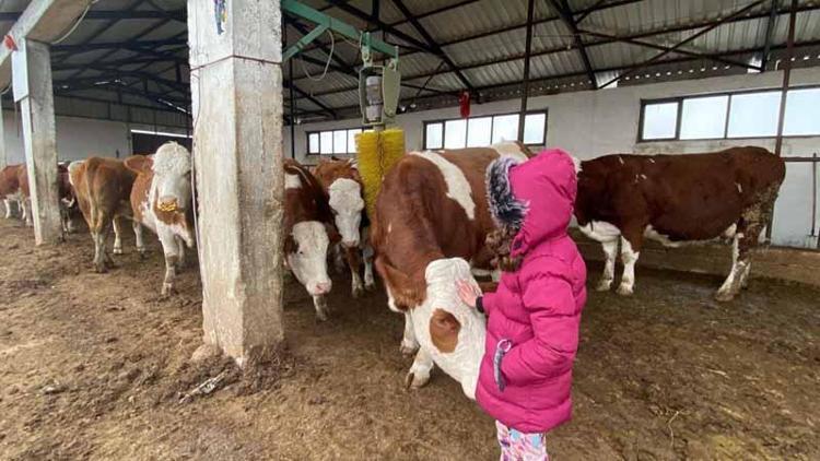 ‘HASTALIKTAN ARİ İŞLETME OLDU’