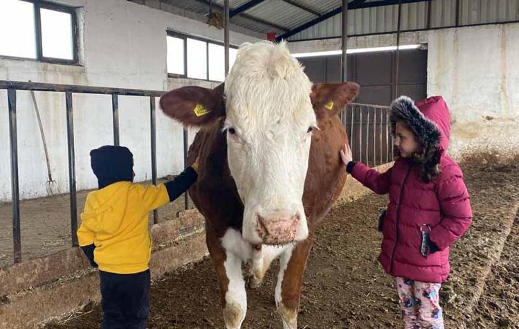 TORUNLARINA DA ÖĞRETİYOR