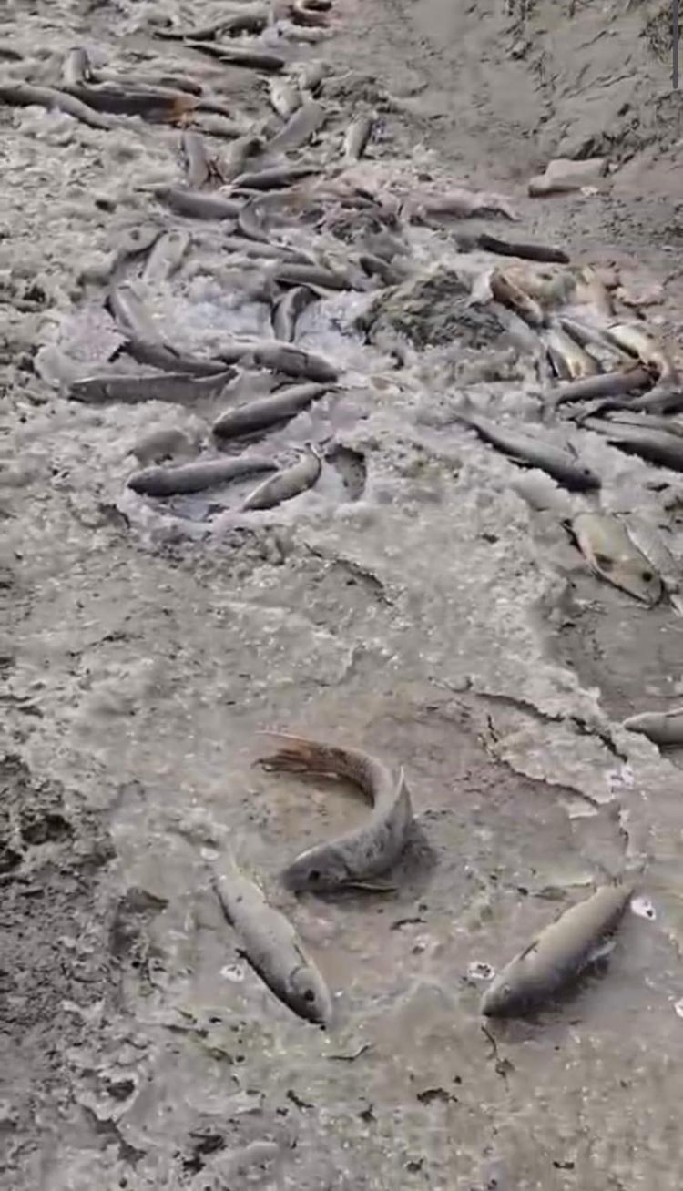 ARASIN ARKINDA MEYDANA GELDİ