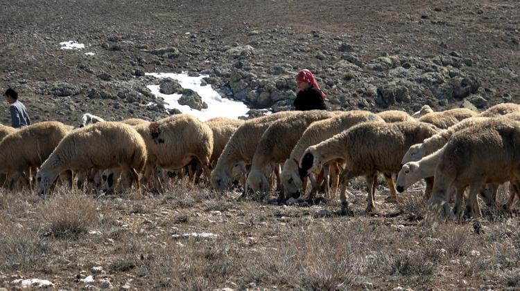 GÜNÜMÜZÜN ÇOĞU AHIRDA GEÇİYOR
