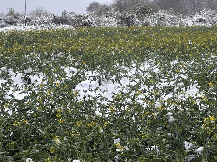 ÜRETİCİ TEDİRGİN