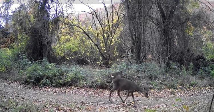 DOĞAYI KORUMAK, GELECEĞİ KORUMAKTIR