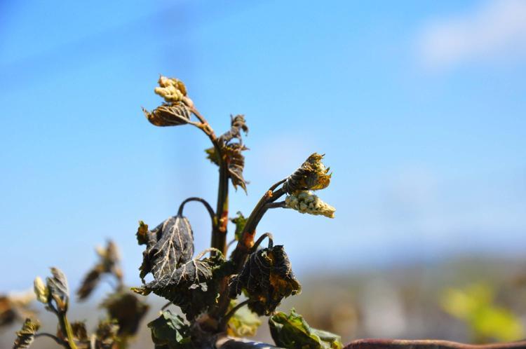 2015te de çok büyük afet yaşandığına dikkati çeken Okur, şöyle devam etti: