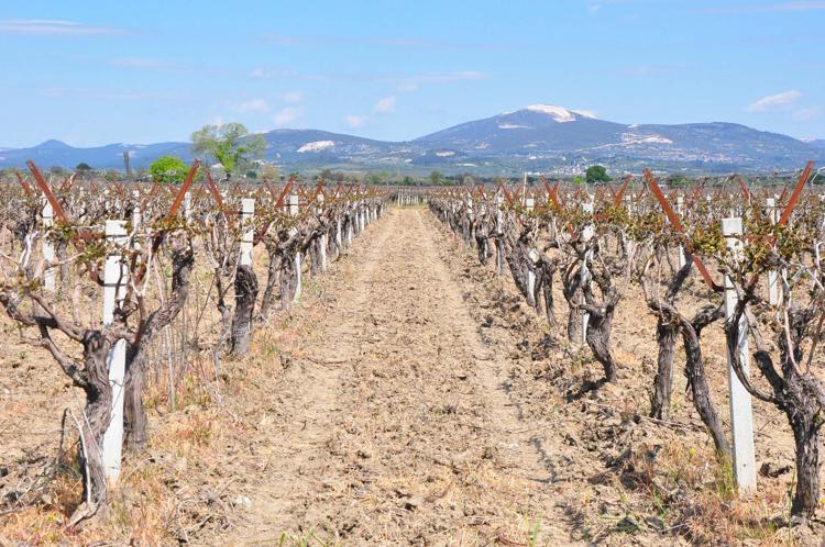 HASAR ÖNÜMÜZDEKİ YIL DA ÜRETİCİYİ ETKİLEYECEK