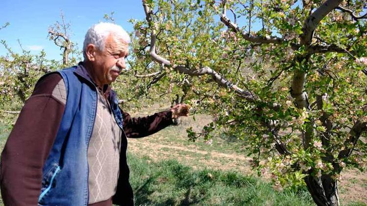 800 MEYVE AĞACINI DON VURDU