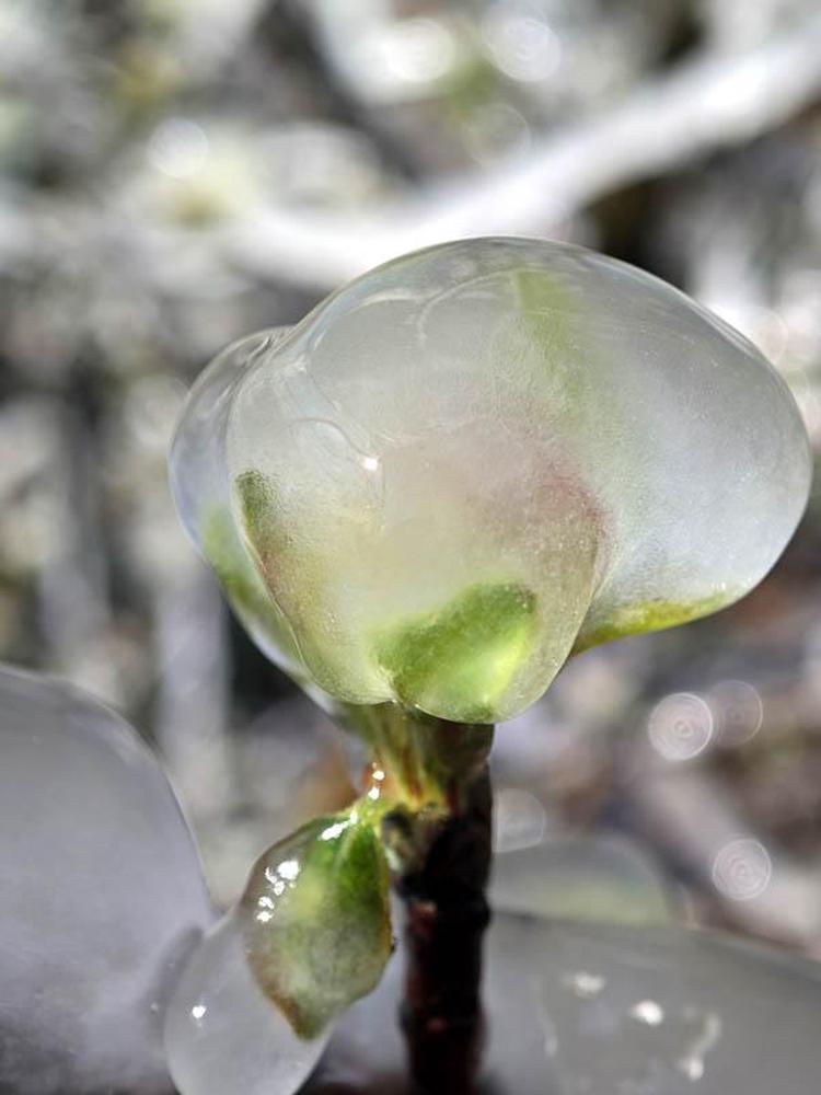 KAYIPLARIMIZ MAALESEF ÇOK BÜYÜK