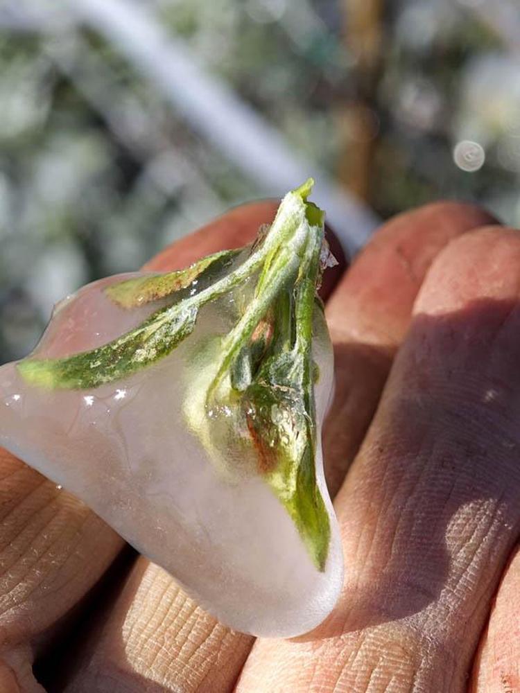 MİLLETVEKİLİ ZABUN, BAKAN YUMAKLI İLE GÖRÜŞTÜ