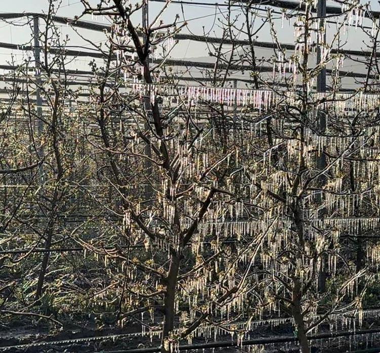 ISPARTA VALİLİĞİNDEN AÇIKLAMA