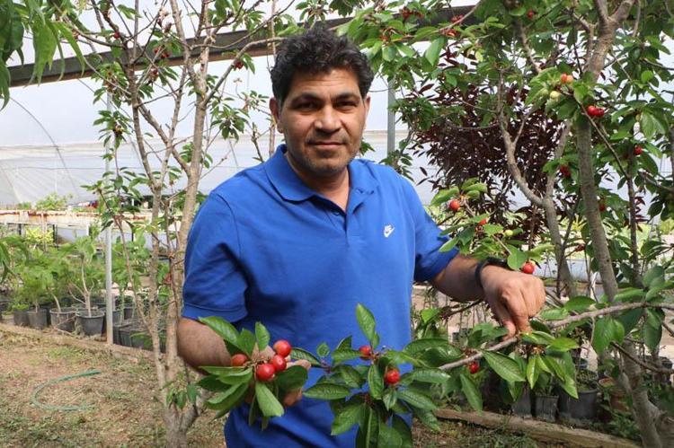 KİRAZ, ÜMİT VADEDEN BİR ÜRÜN, ÖNÜ AÇIK