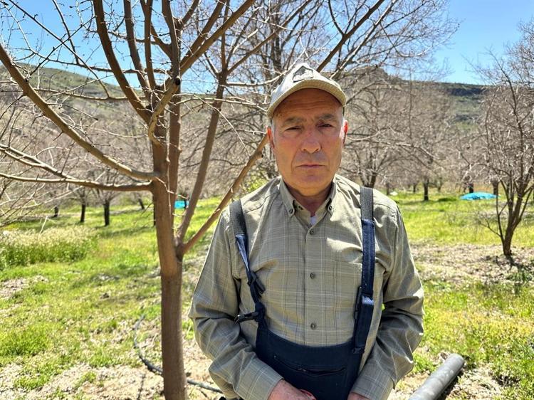 35 DERECELİK FARKLA AĞAÇLARIMIZ YANDU