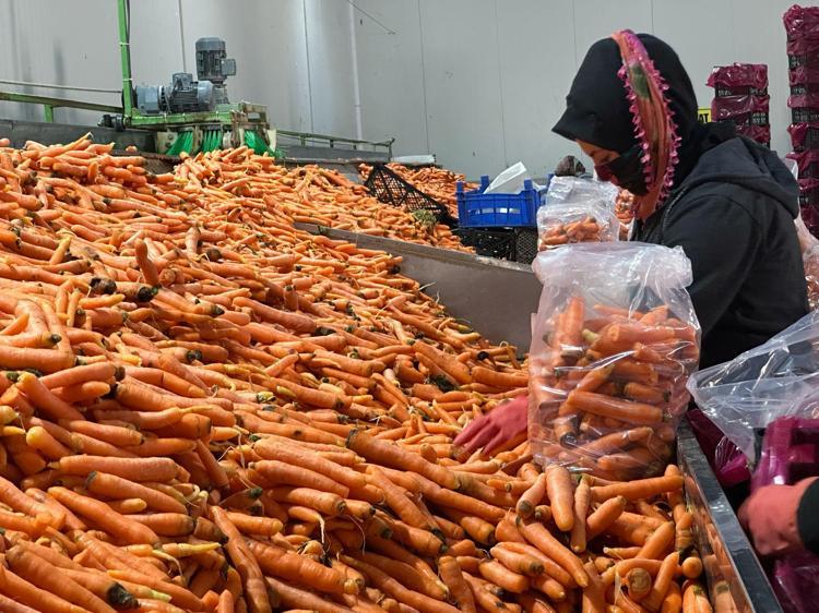 DEVLET DESTEĞİNE BAŞVURUN ÇAĞRISI