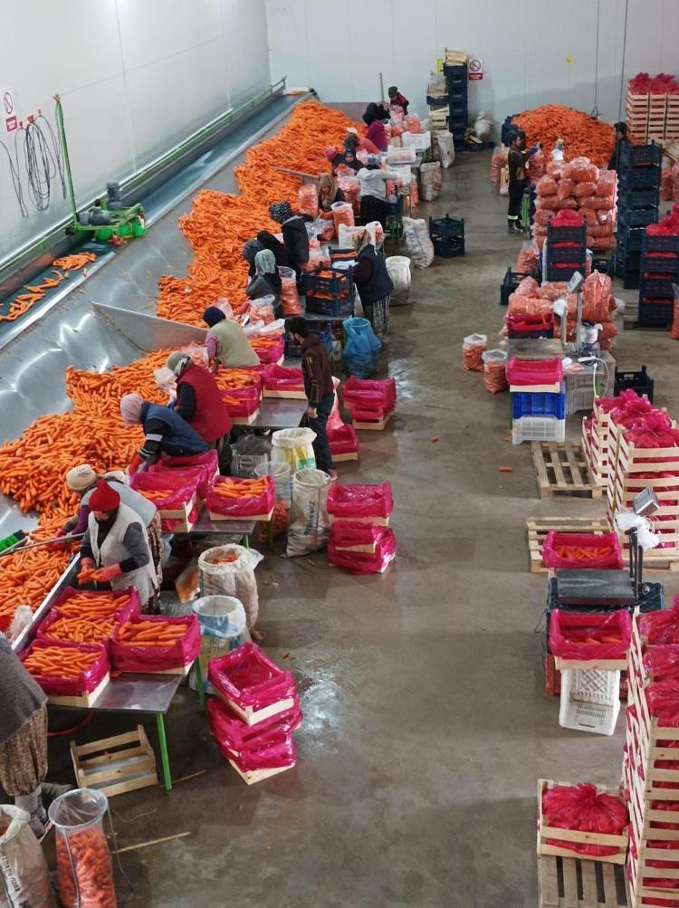 DEPOLAMANIN BÜYÜK İHTİYAÇ OLDUĞUNU DÜŞÜNDÜK