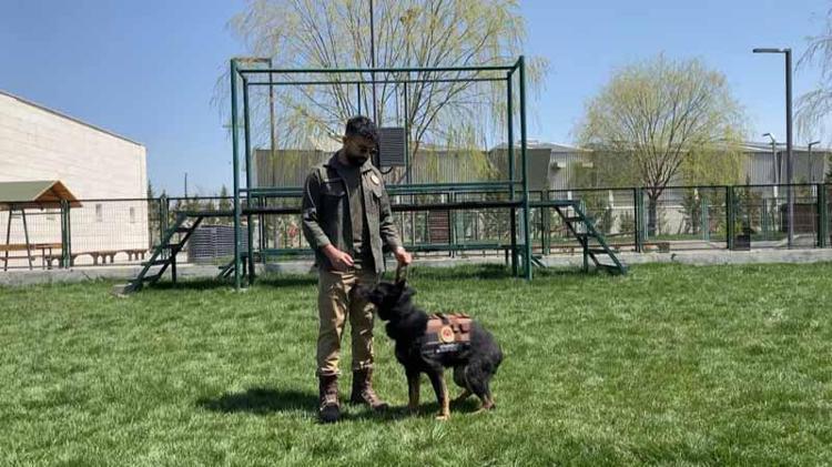 FİZİKSEL DEFORMASYONLARINI HESABA KATARAK PLANLIYORUZ