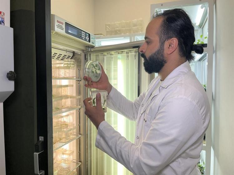 ‘TIBBİ AÇIDAN DA ÖNEMLİ BİTKİLER ÜZERİNE ODAKLANIYORUZ’