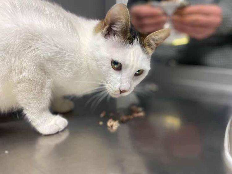 GÜZEL BİR TESADÜF OLDU