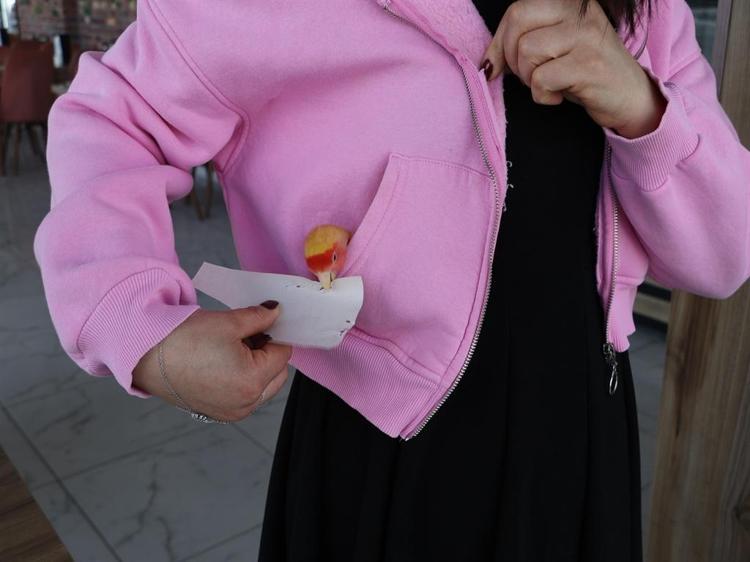 NE YAPARSAM O DA AYNI ŞEYLERİ YAPIYOR