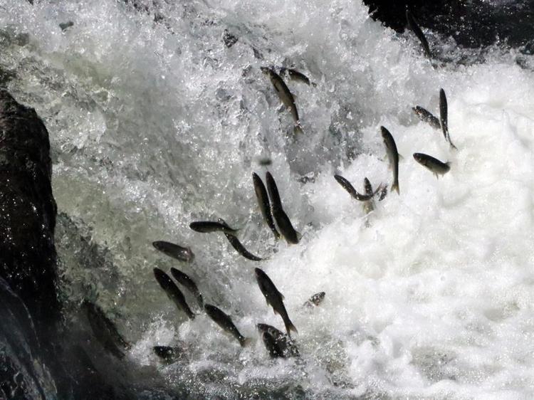 HİDROLOJİK KURAKLIK YAŞIYORUZ