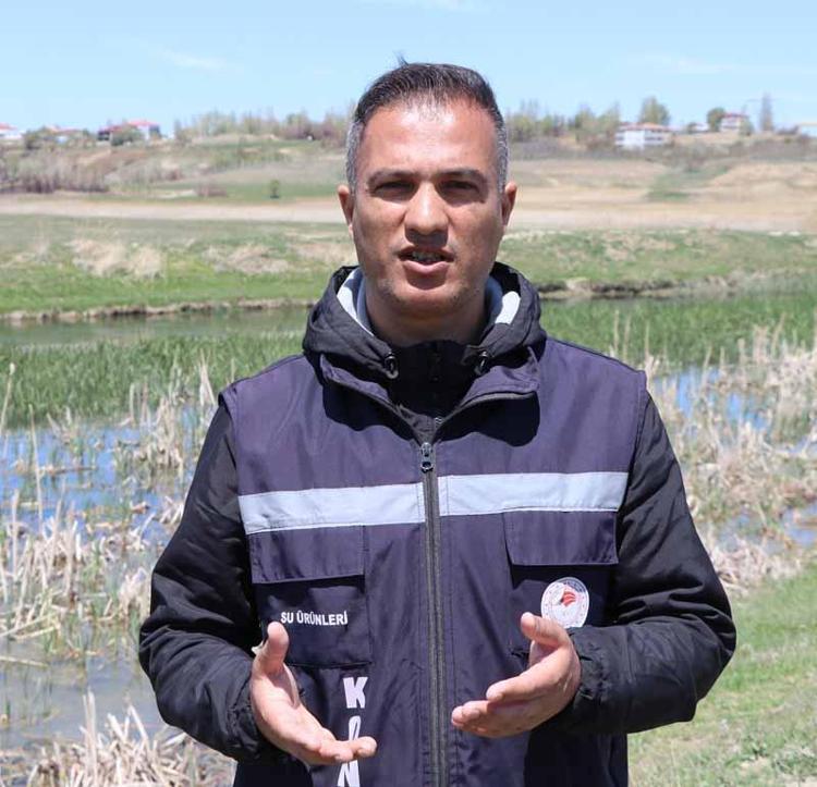 İNCİ KEFALLERİ TATLI SULARA GELMEYE BAŞLADI