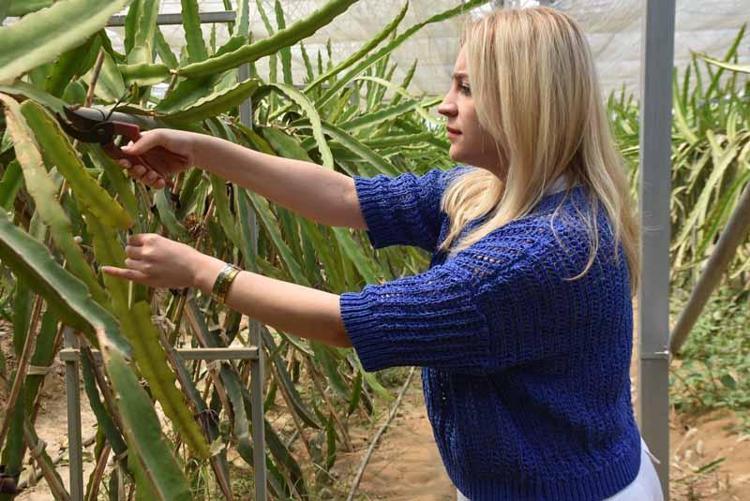 İKİ SENE ÖNCE İTHALDİ, ŞİMDİ İHRAÇ EDİLECEK KONUMA GELDİ