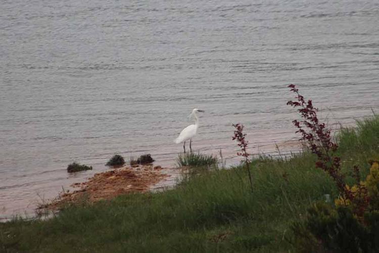‘BOLU’DA BİRÇOK TURİZM FAALİYETİ GERÇEKLEŞTİRİLEBİLİYOR’
