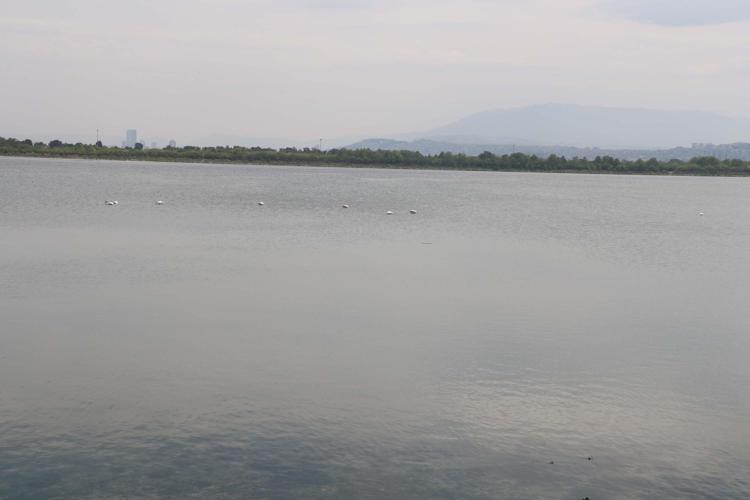 SU HAREKETLERİ EKOLOJİK DEĞİŞİMLERE SEBEP OLUYOR