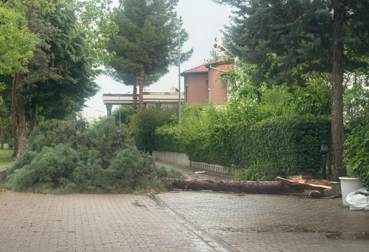 MARDİN, ELAZIĞ VE BİNGÖL’DE DE FIRTINA ETKİLİ OLDU