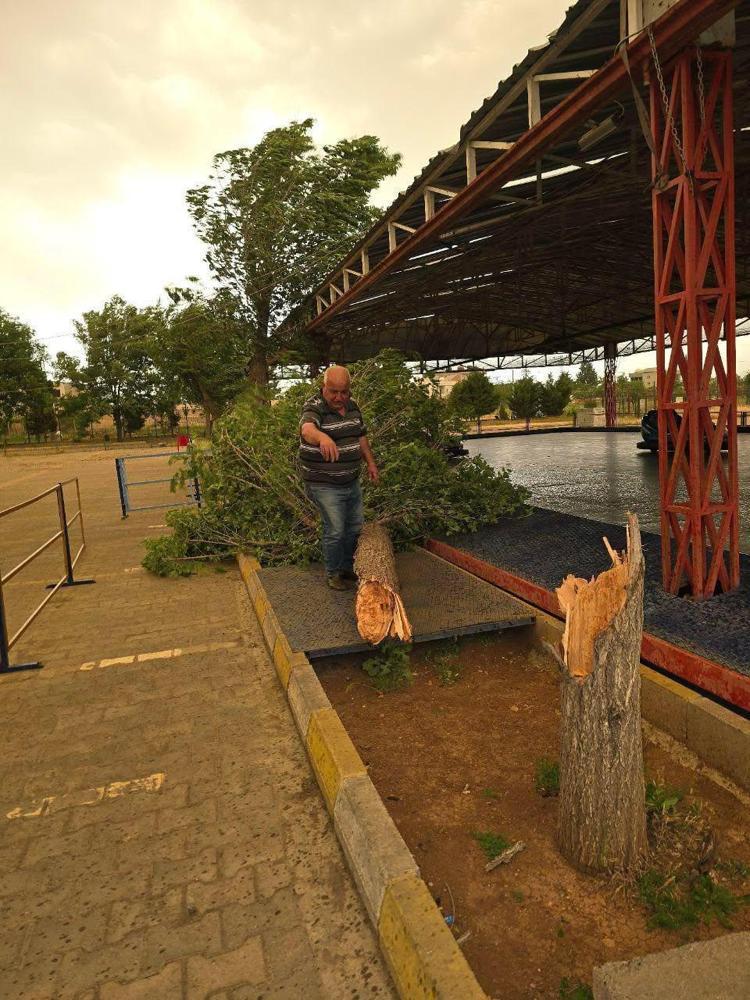NUSAYBİN’DE TOZ TAŞINIMI