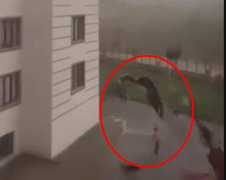FIRTINADA ÇATIDAN KOPAN PARÇA, ÇOCUĞUN ÜZERİNE DÜŞTÜ