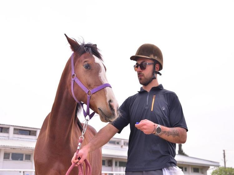‘ATLARIN HAYATA BAKIŞ AÇISI BİZİMKİNDEN FARKLI’
