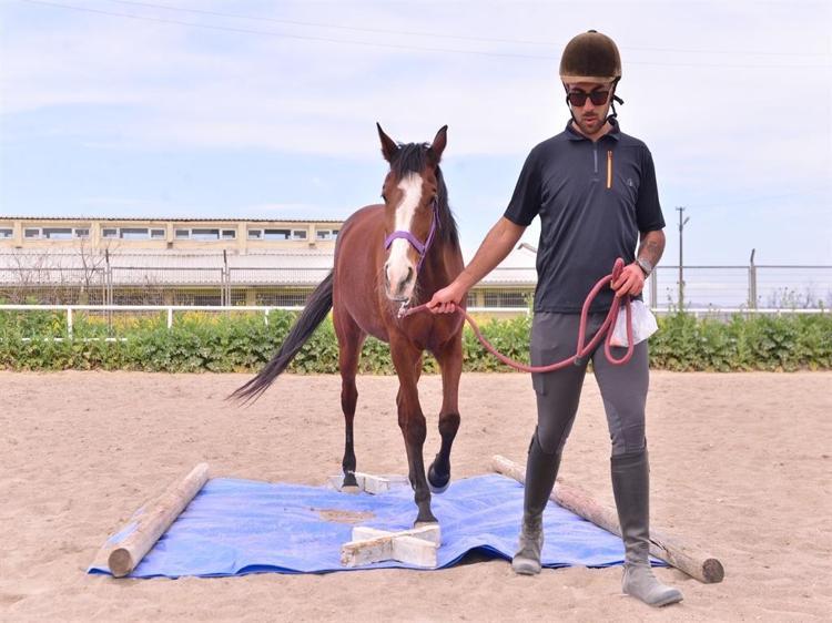 PROJE FARKLI IRKLAR ÜZERİNDE DENENİYOR